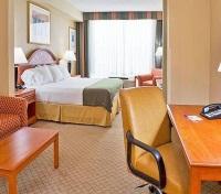 Holiday Inn Busch Gardens Room